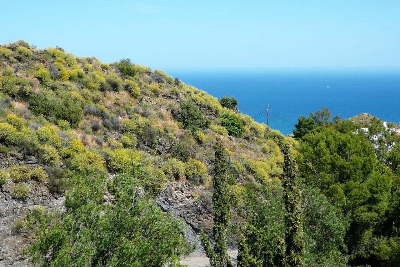 House With Terrace, Amazing Views And Private Shared Pool Villa Mojácar Eksteriør bilde